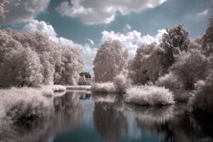 branitzer park 02