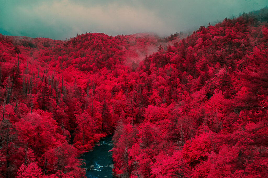 crimson gorge