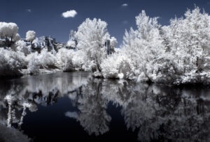 lartigue03