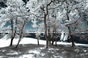 lartigue04