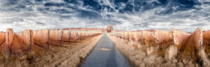 Landscape Mindaugas Grybauskas 02 scaled