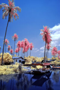 DSC 7062