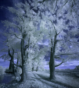 IRwDream 1280
