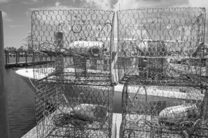 Lobster Traps