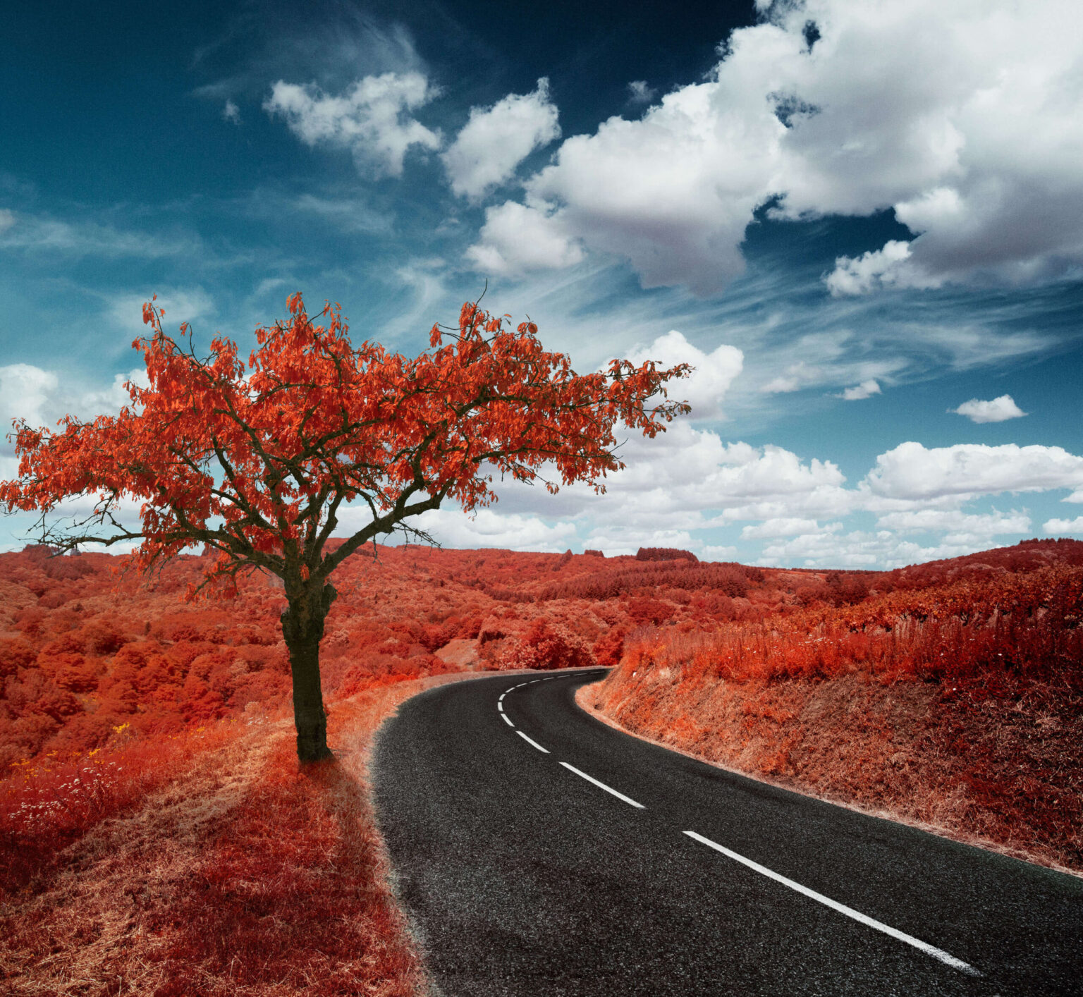 Kolari Vision IR Chrome Lens Filter Kolari Vision