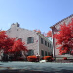 Thumbnail of IMG 0045