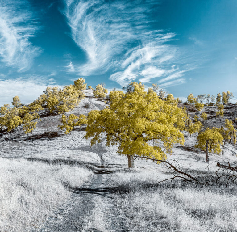 IMG_5961-Pano-Edit-copy