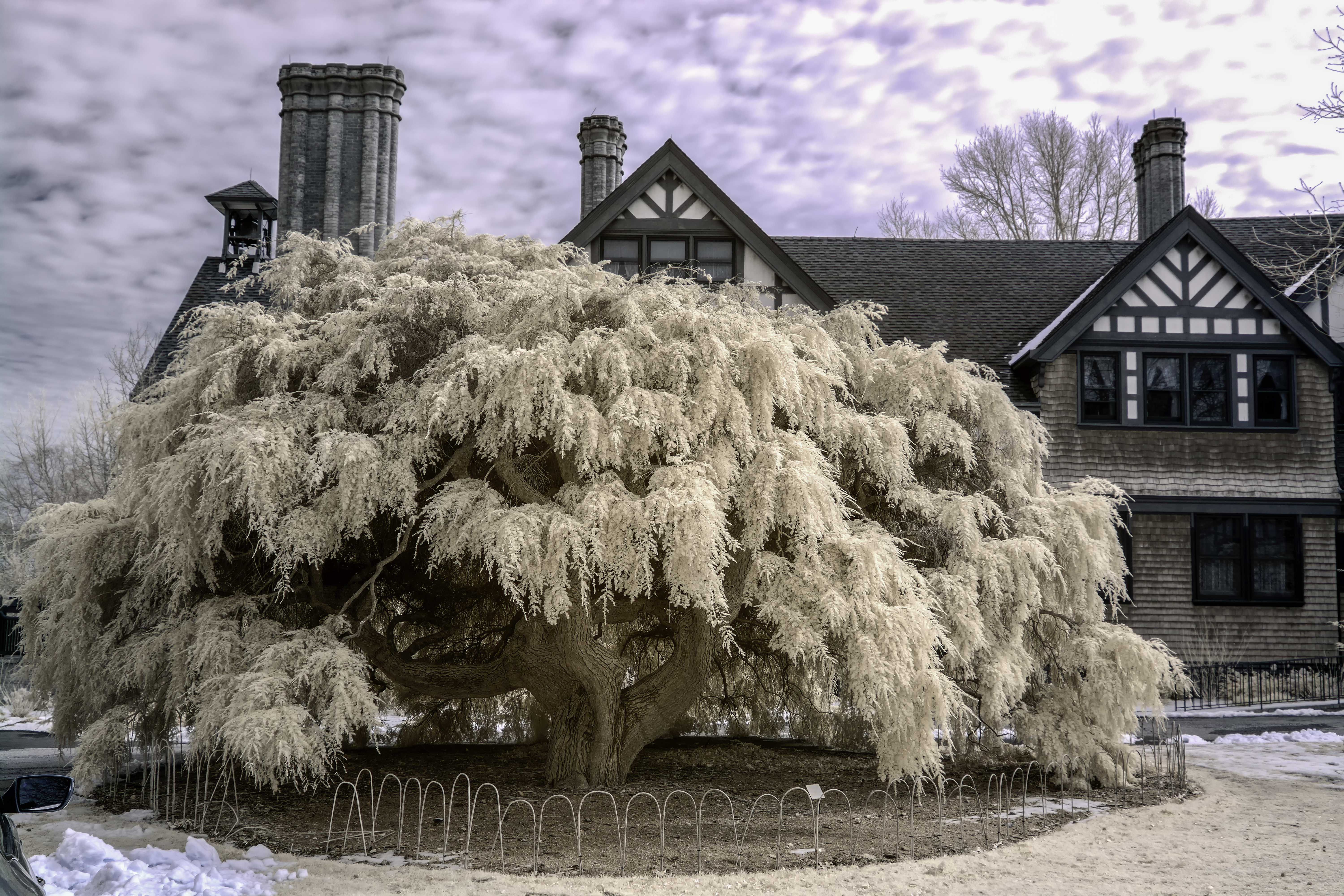 Bayard Cutting Arboretum Manor House Kolari Vision