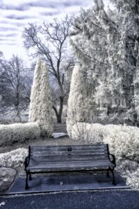 7BM 03032019 0740 00021 Edit scaled