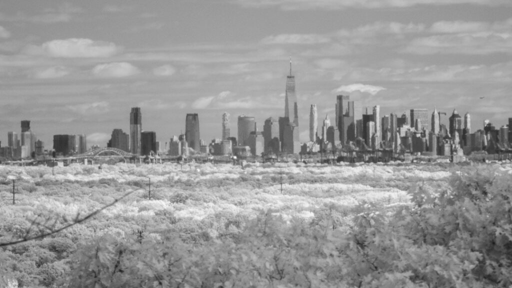 P1000 IR crop