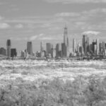 Thumbnail of P1000 IR crop