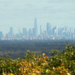 Thumbnail of P1000 vis crop
