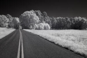 DSC0004a