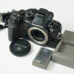 Thumbnail of DSC08484