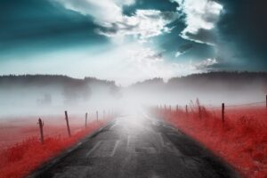 10 IRchrome yann philippe infrared infrarouge 34 1024x683 1