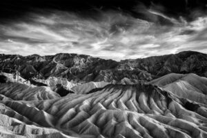 6 Black and White Beamie Young 1024x655 1