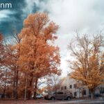 Thumbnail of 590 1