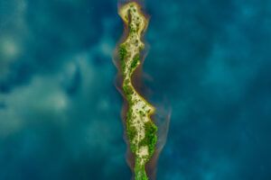 DJI 0113
