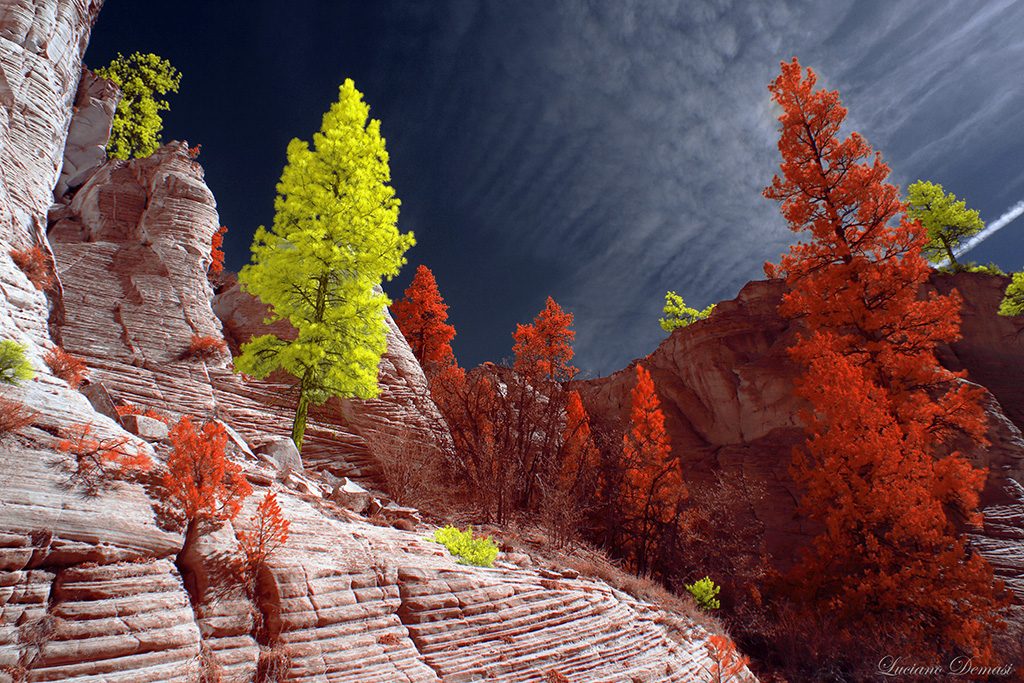 FIGURE UTAH 16 1 1024x683 1