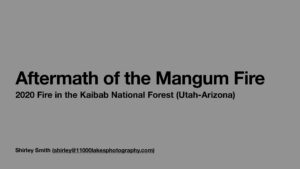 Mangum Fire Aftermath SSmith pdf