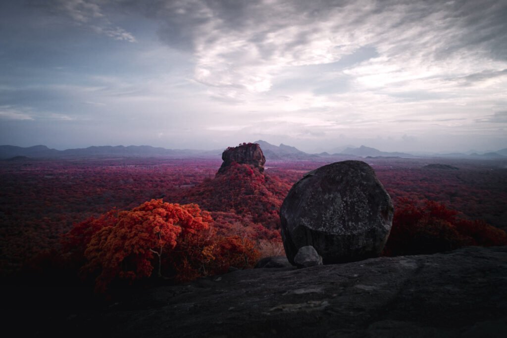 Sri Lanka Infrared world dani kangu 019