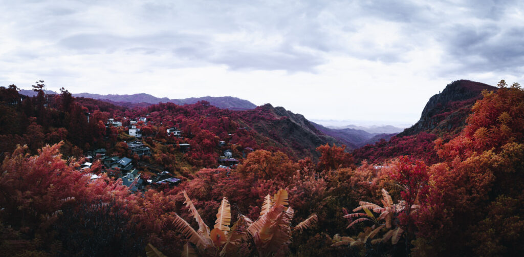 Sri Lanka Infrared world dani kangu 020