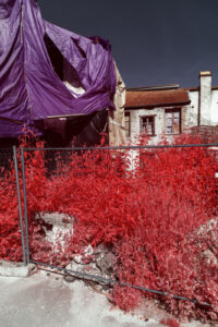 demain des l aube serie infrarouge bar grand est photographie infrarouge vigne paysage abandon misere rouge champagne Pierre Louis FERRER 23 24