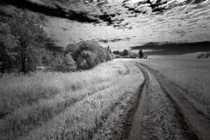IMG 9283 Edit