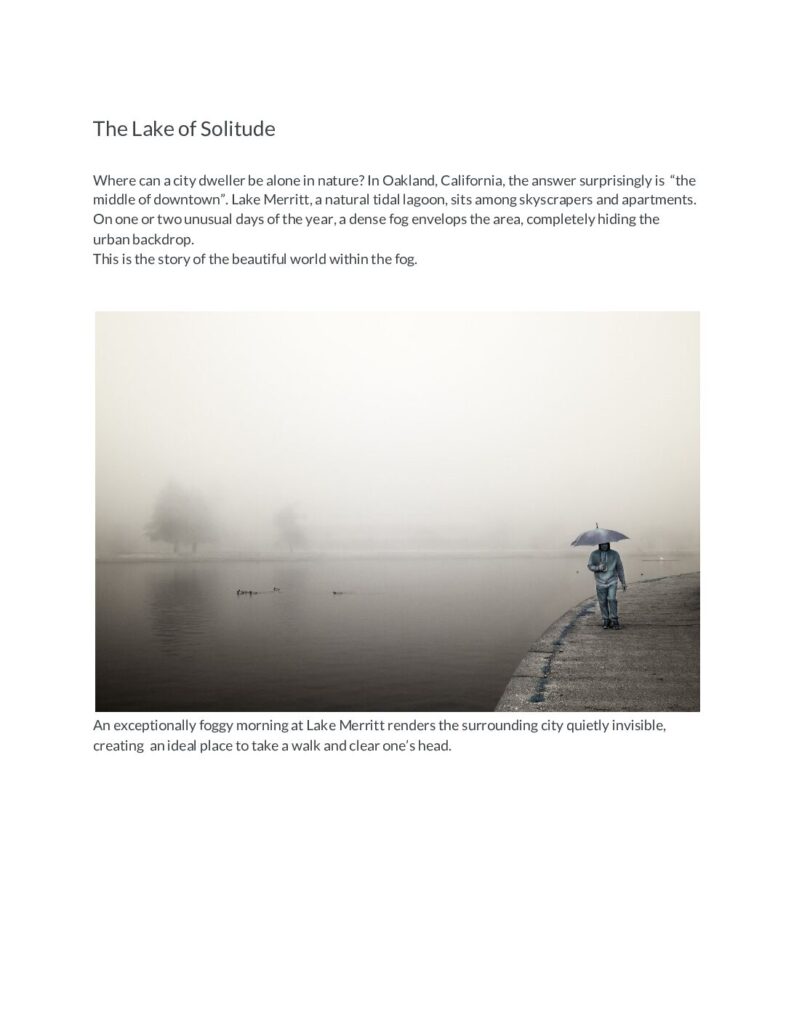 Lake of Solitude pdf