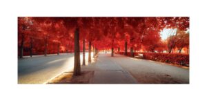 MADRID essay pdf