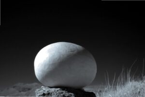 Thomas Petersen b w PhotoEssay 2020 pdf