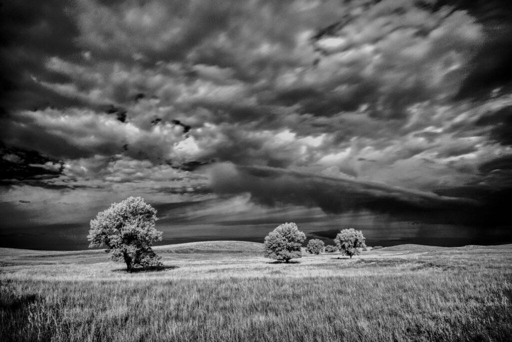clouds and cottonwoods badlands