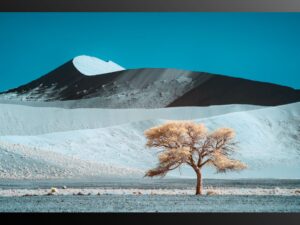 2020 Namibia 1 pdf