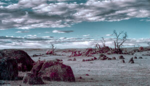 Cooma