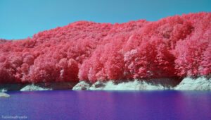 Ir Chrome Lake ValentinaBrunello