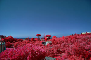 Ir Chrome Sea ValentinaBrunello