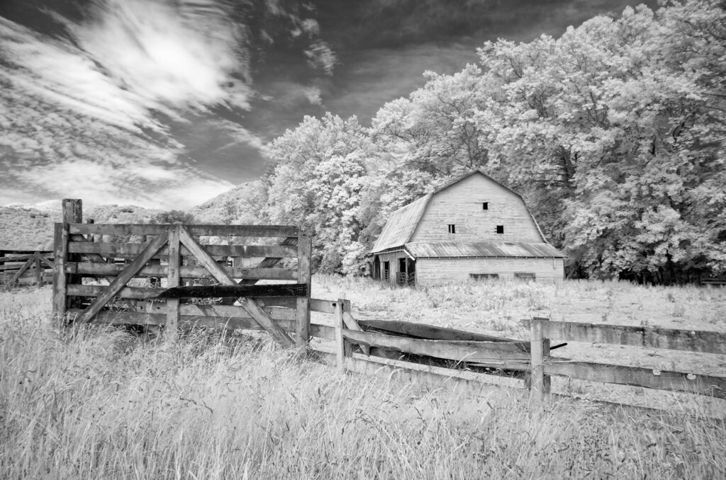 MaloneySharon TaylorFarm