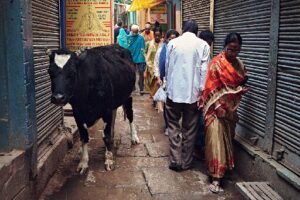 Moments India pdf