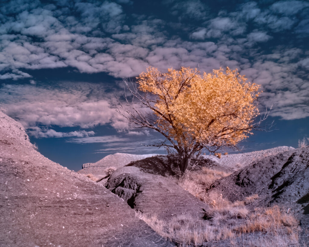 P1000084IR