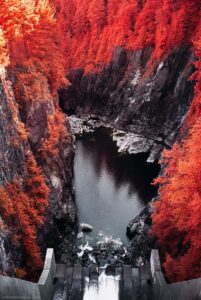 Cleveland Dam by Reilly Lievers