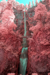 Multnomah Falls by Miles B Jordan