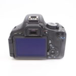 Thumbnail of 385A9915