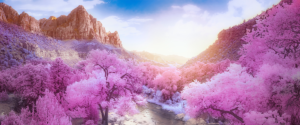 IR Gallery mir