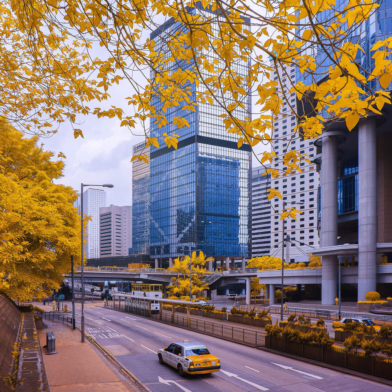 590nm – Tran Minh Dung Golden City