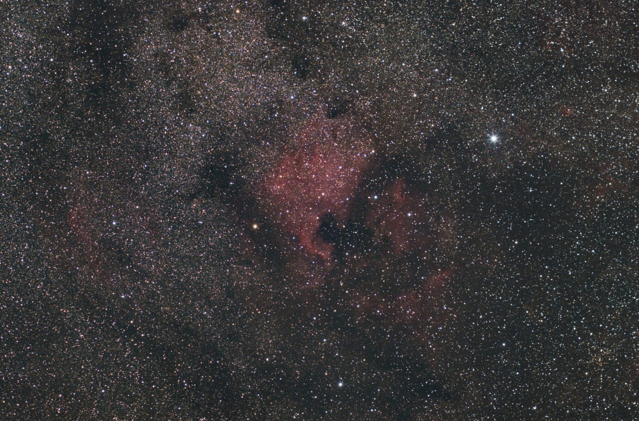 Image name: First Light   NGC7000 (The North America Nebula) Wide Field, Author name: Ron Brecher