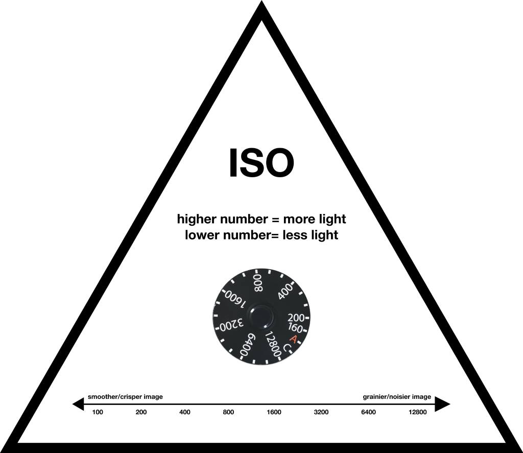 Beginners Guide TO ISO photography