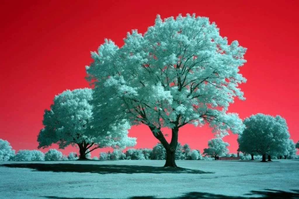 Blue IR Infrared Conversion Filter (Channel Swapped)