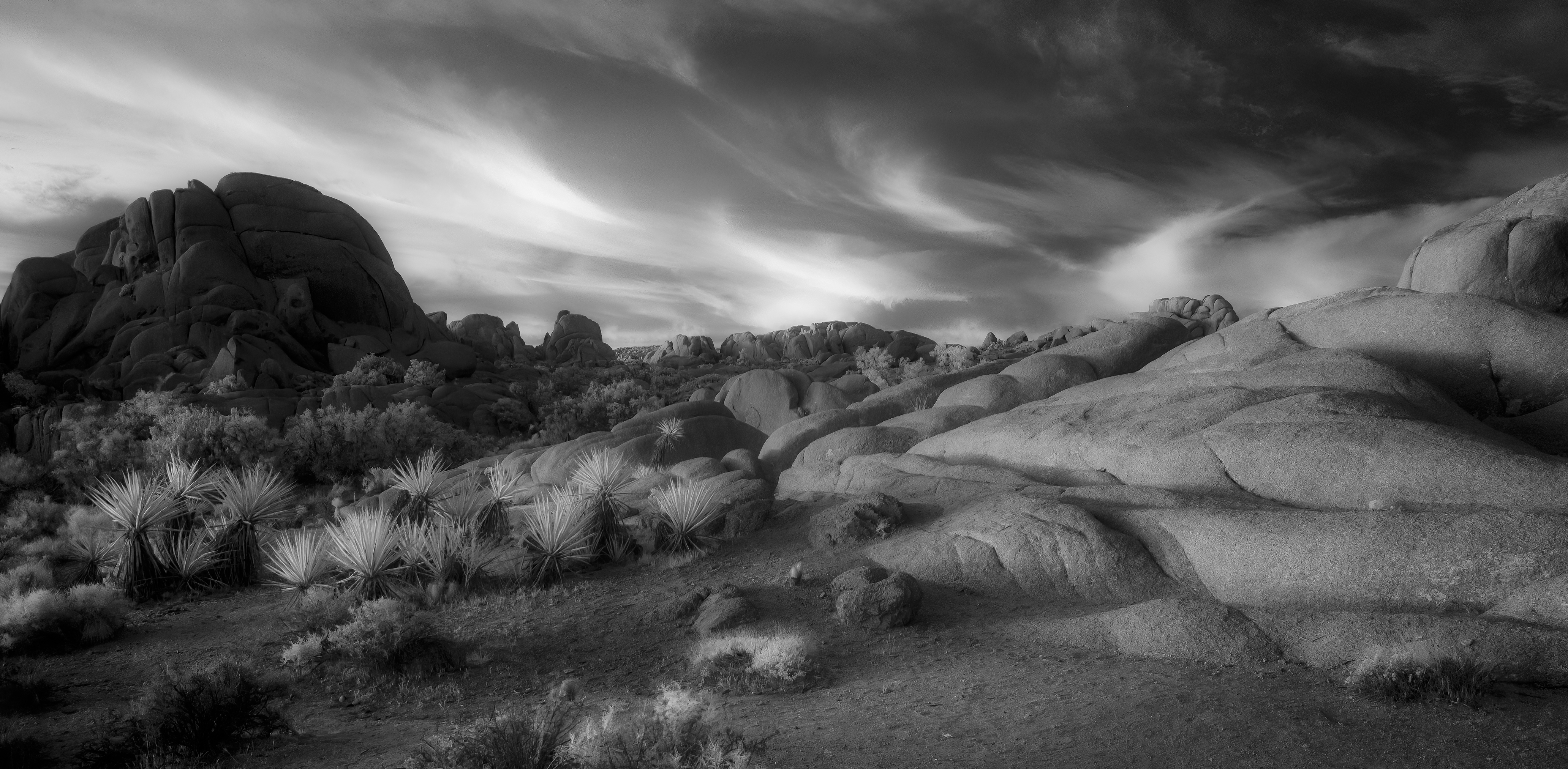 2023 B+W Infrared: Joshua Tree National Park  Black-and-White Infrared Intensive Workshop