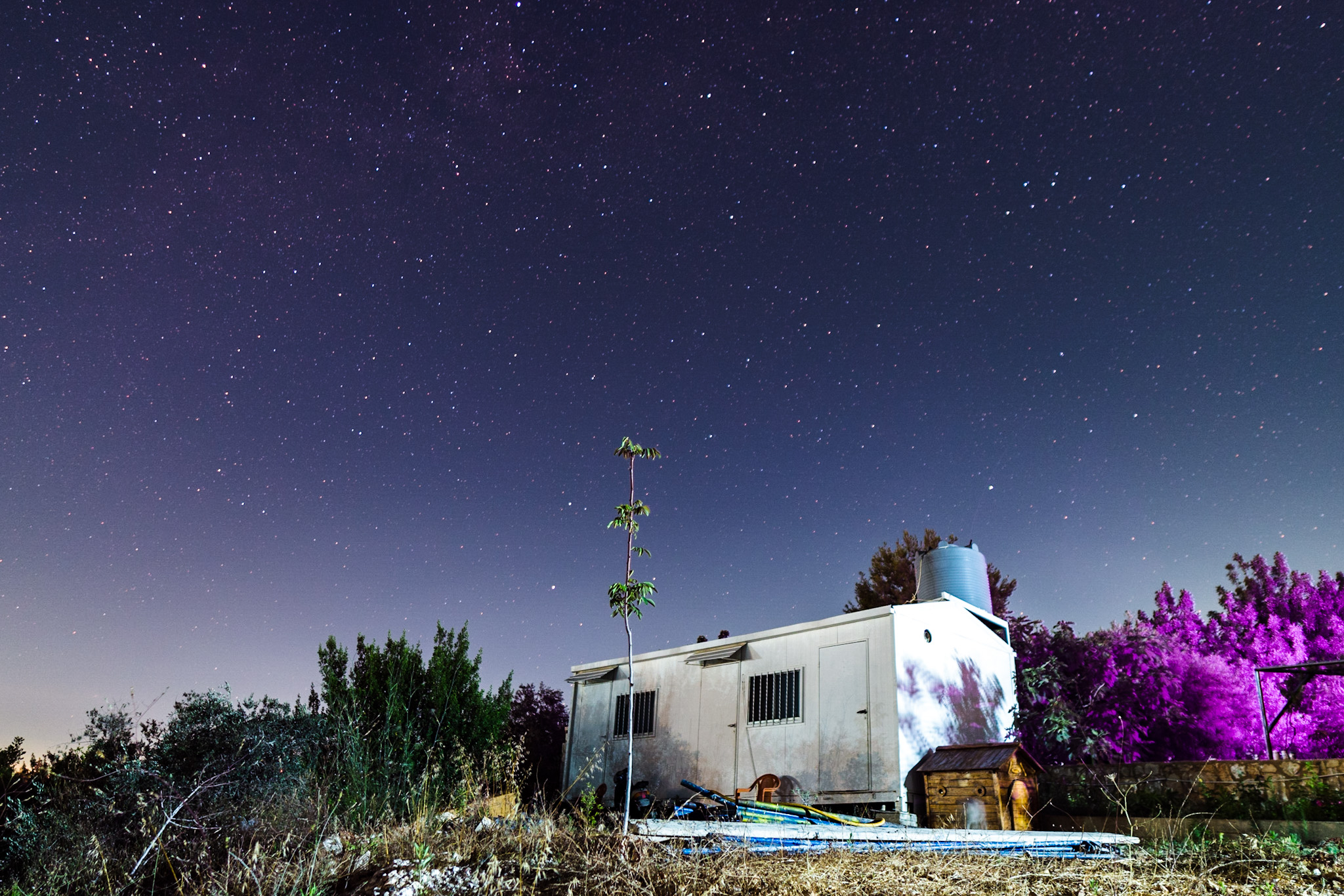 Image name: Cabin at Night, Author name: Alwaleed Khaled
