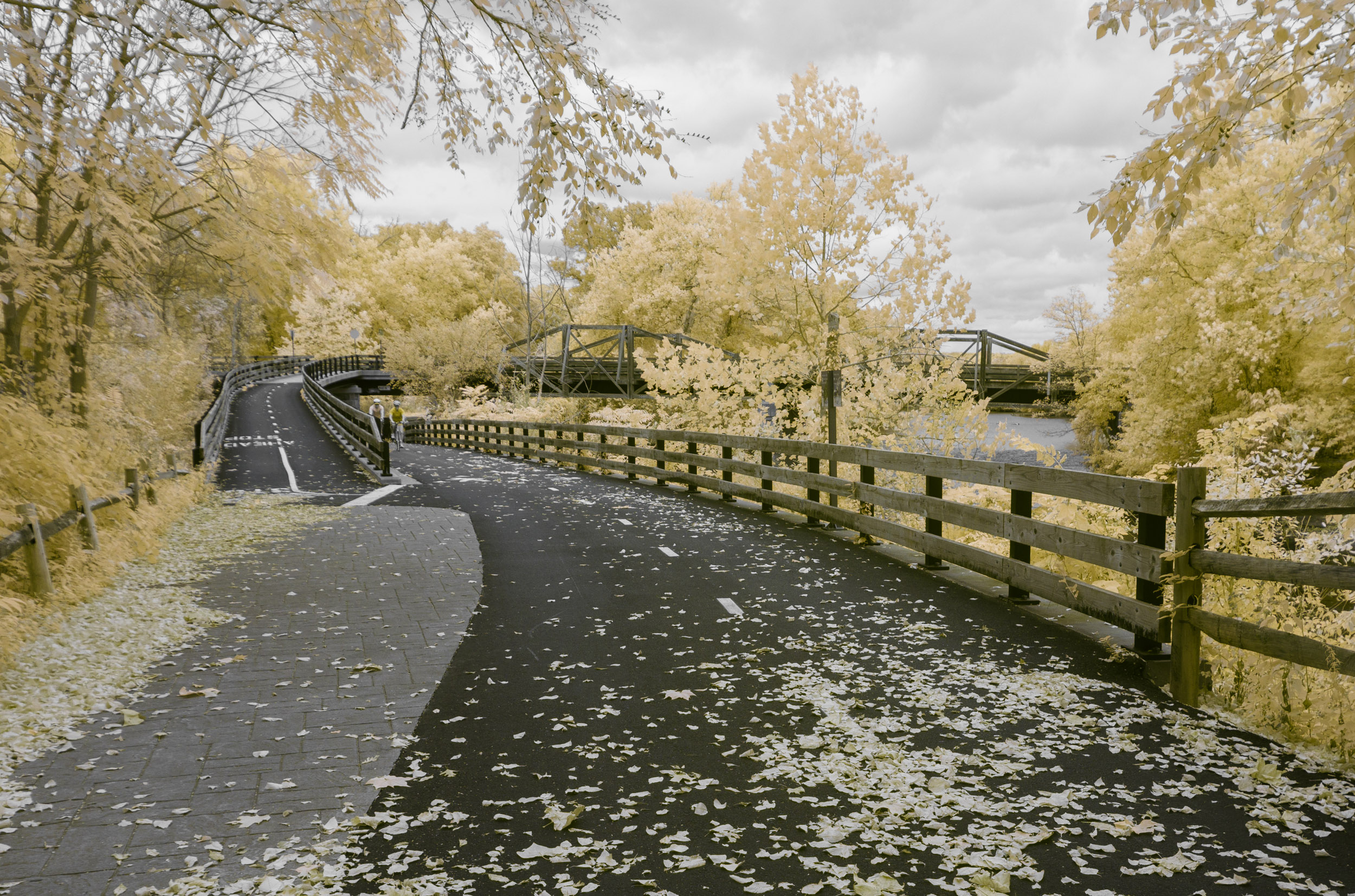 DanWaterman Landscape IR Autumn Bike Path 2deecd37 656d 4599 8d30 c62dbb7eee12